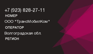 9238282711